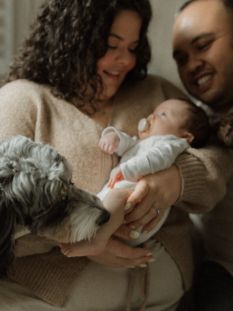 A newborn session where pups have joined in the bedroom, gathering around baby.